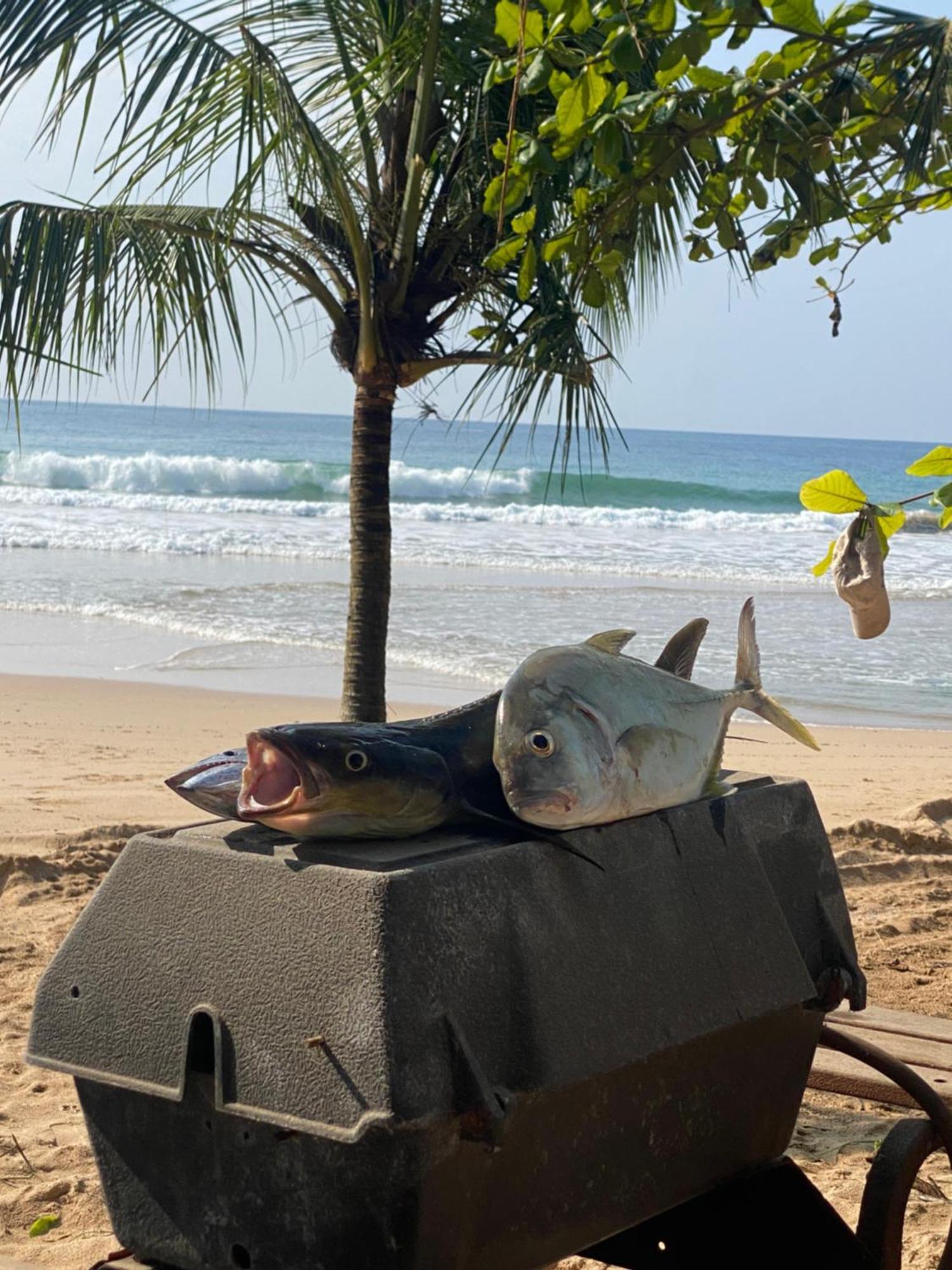 Talalla Bay Beach المظهر الخارجي الصورة