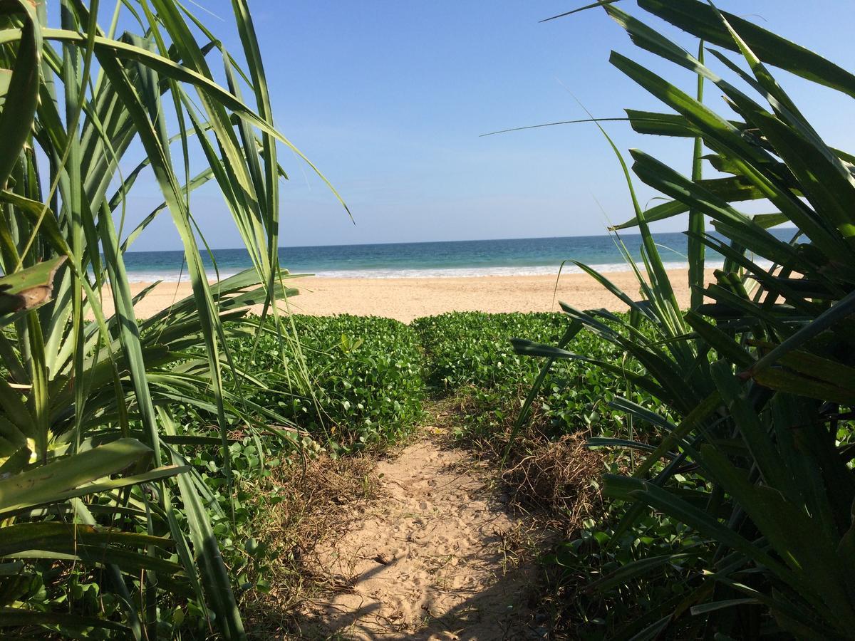Talalla Bay Beach المظهر الخارجي الصورة